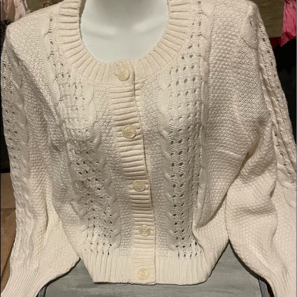 Wild Fable sweater